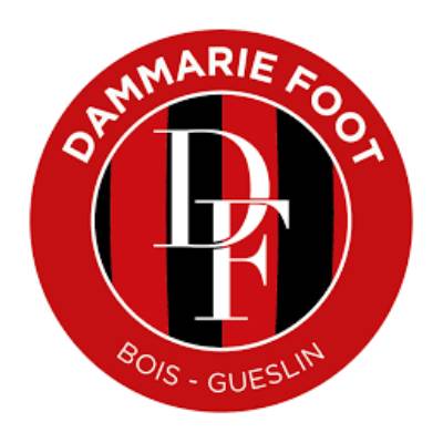 Logo Dammarie Foot Bois-Gueslin