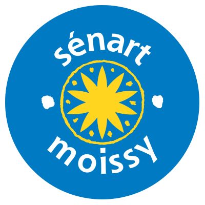 Logo US Sénart-Moissy