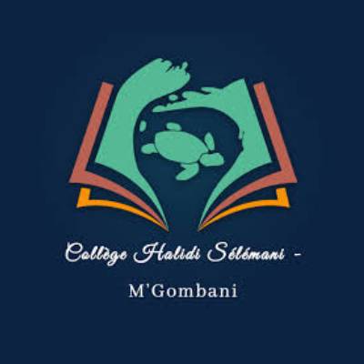 Logo Collège Halidi Sélémani de M'Gombani